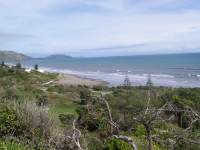 Schoene Kapiti Coast